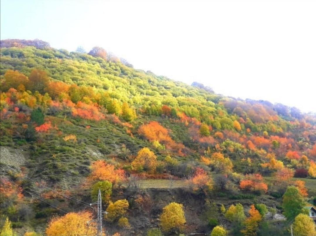 Karbula Apartments & Villa Mavrovo Zewnętrze zdjęcie