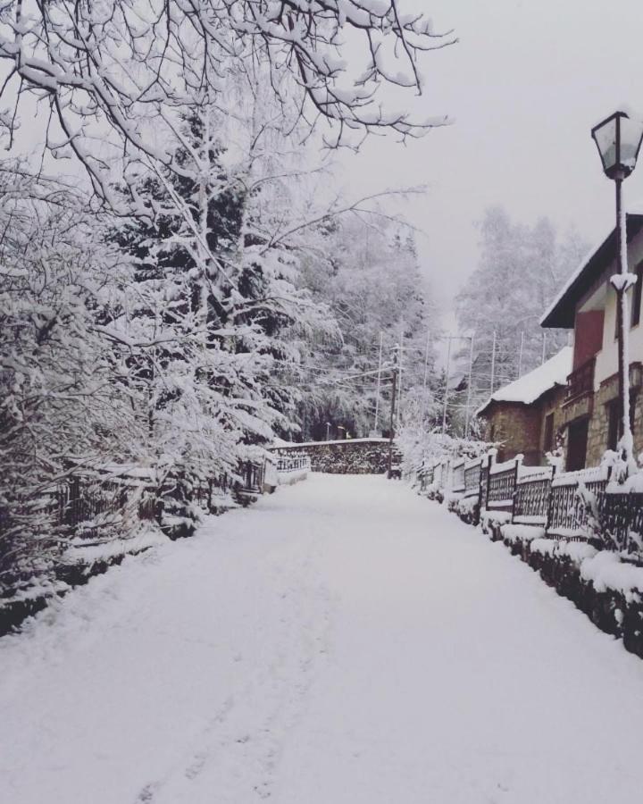 Karbula Apartments & Villa Mavrovo Pokój zdjęcie